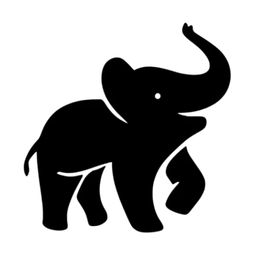 Burkindi logo